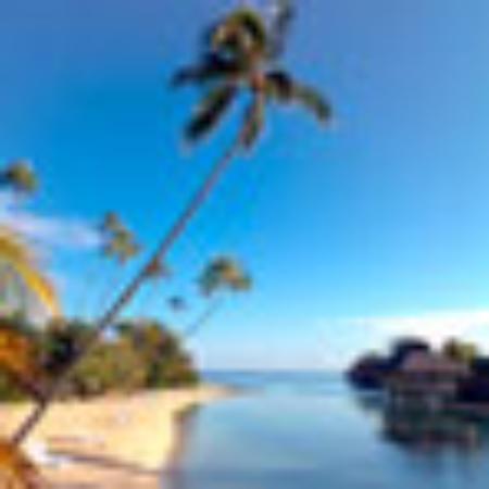 Jamicos Pizzaria Restaurant